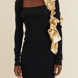ROSE SEAMLESS DRESS